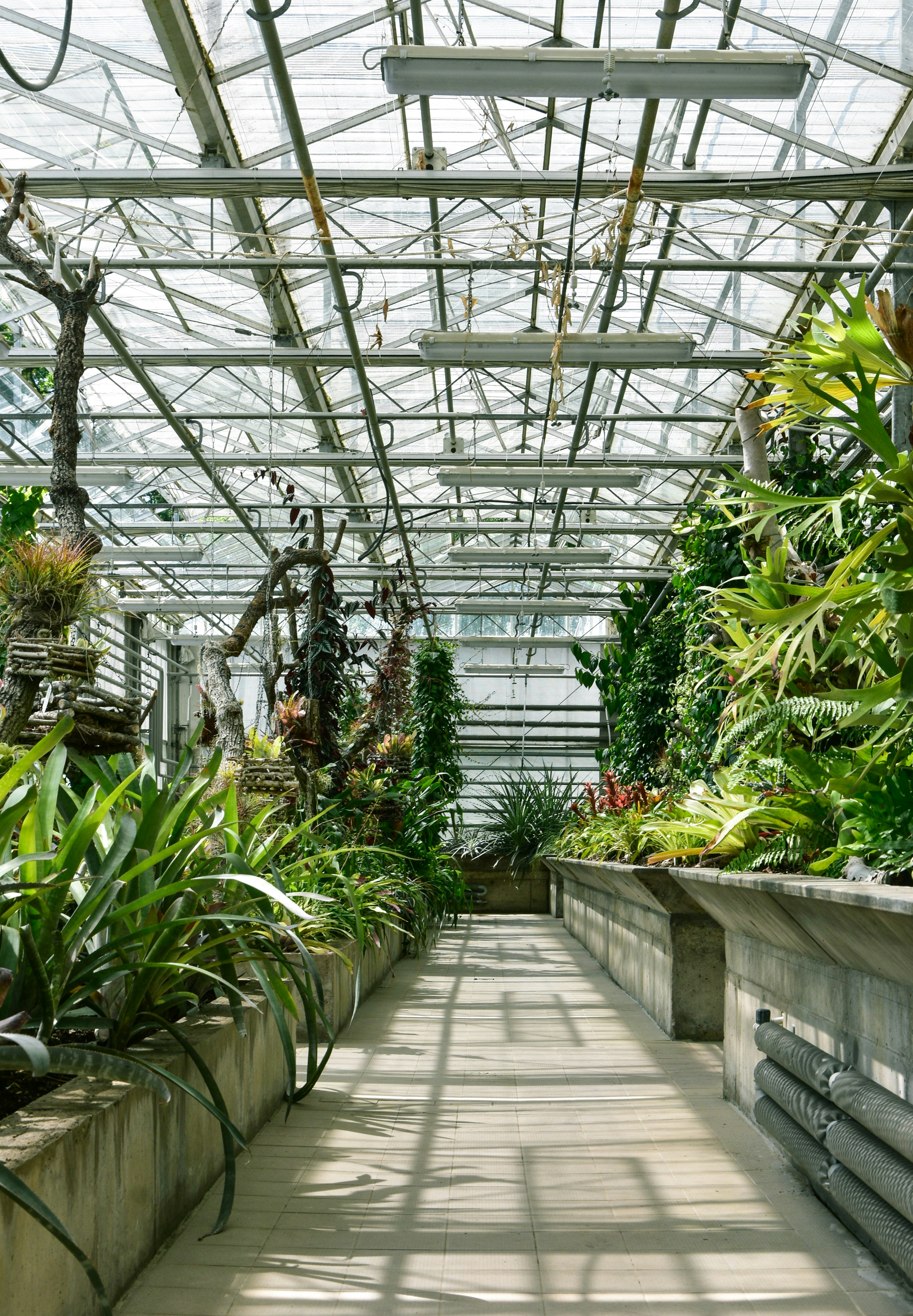 Photo by keszthelyit