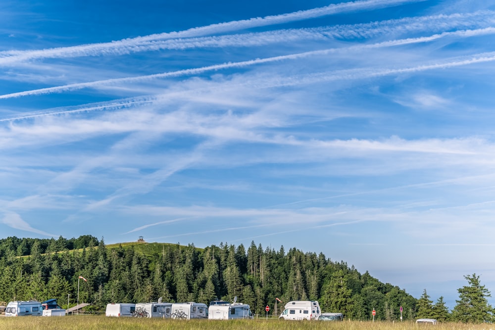 white and black house near green trees under blue sky during daytime