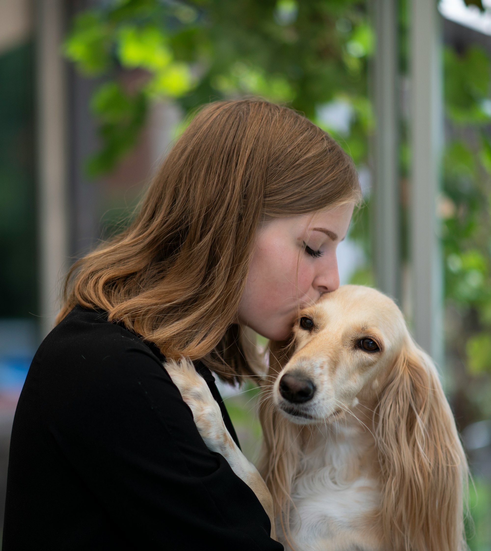 Do Dogs Know What Kisses Are?