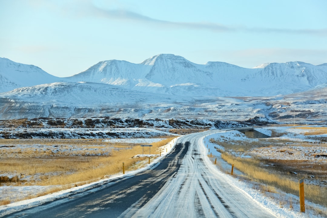 gray road in between snow covered field during daytime