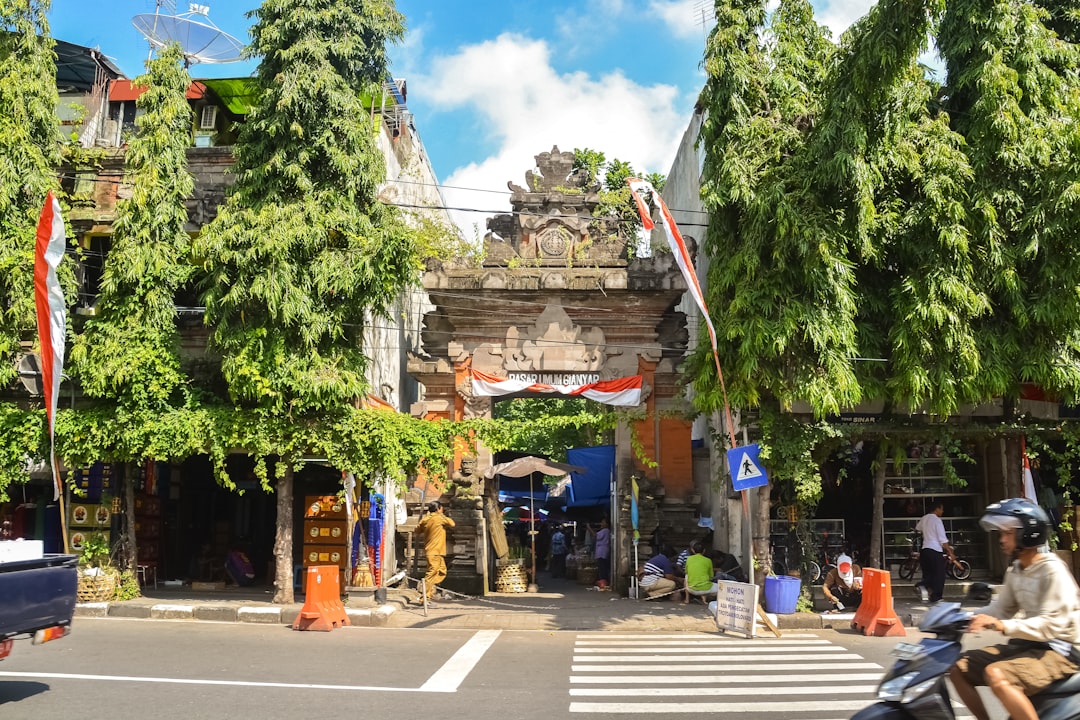 people walking on pedestrian lane near green trees during daytime