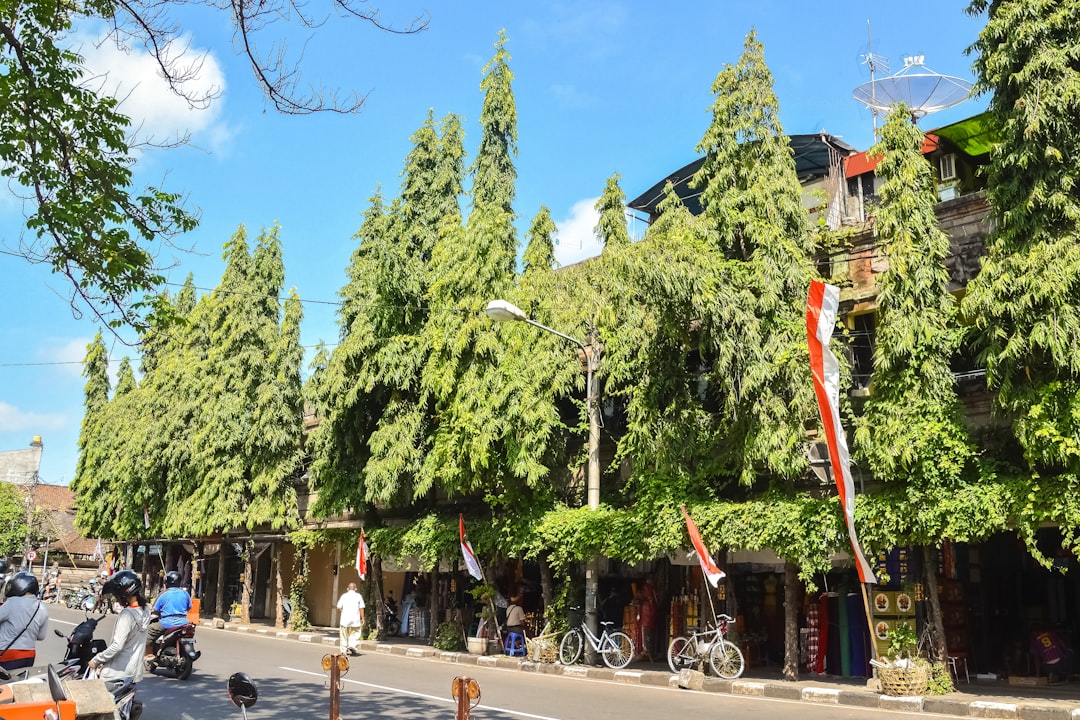 people walking on street near green trees during daytime