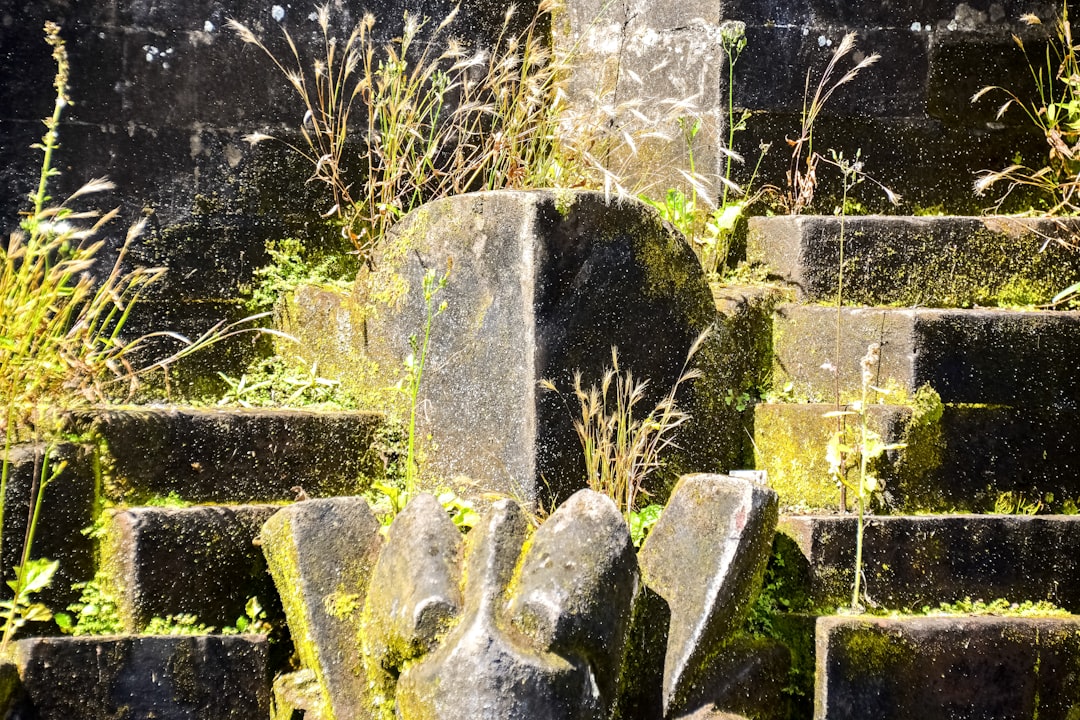 gray concrete stone near green grass during daytime