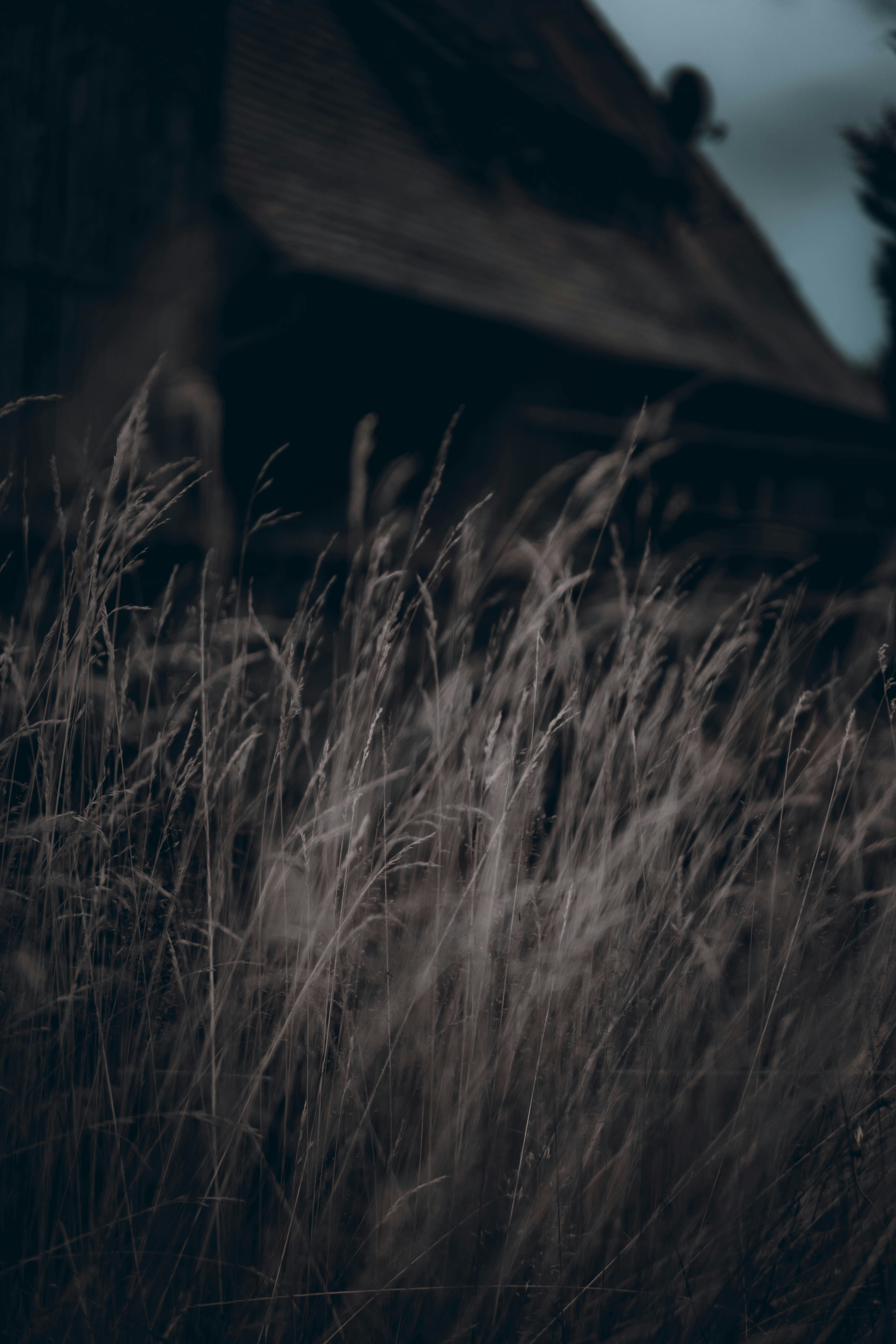 Photo by photographybymat_26