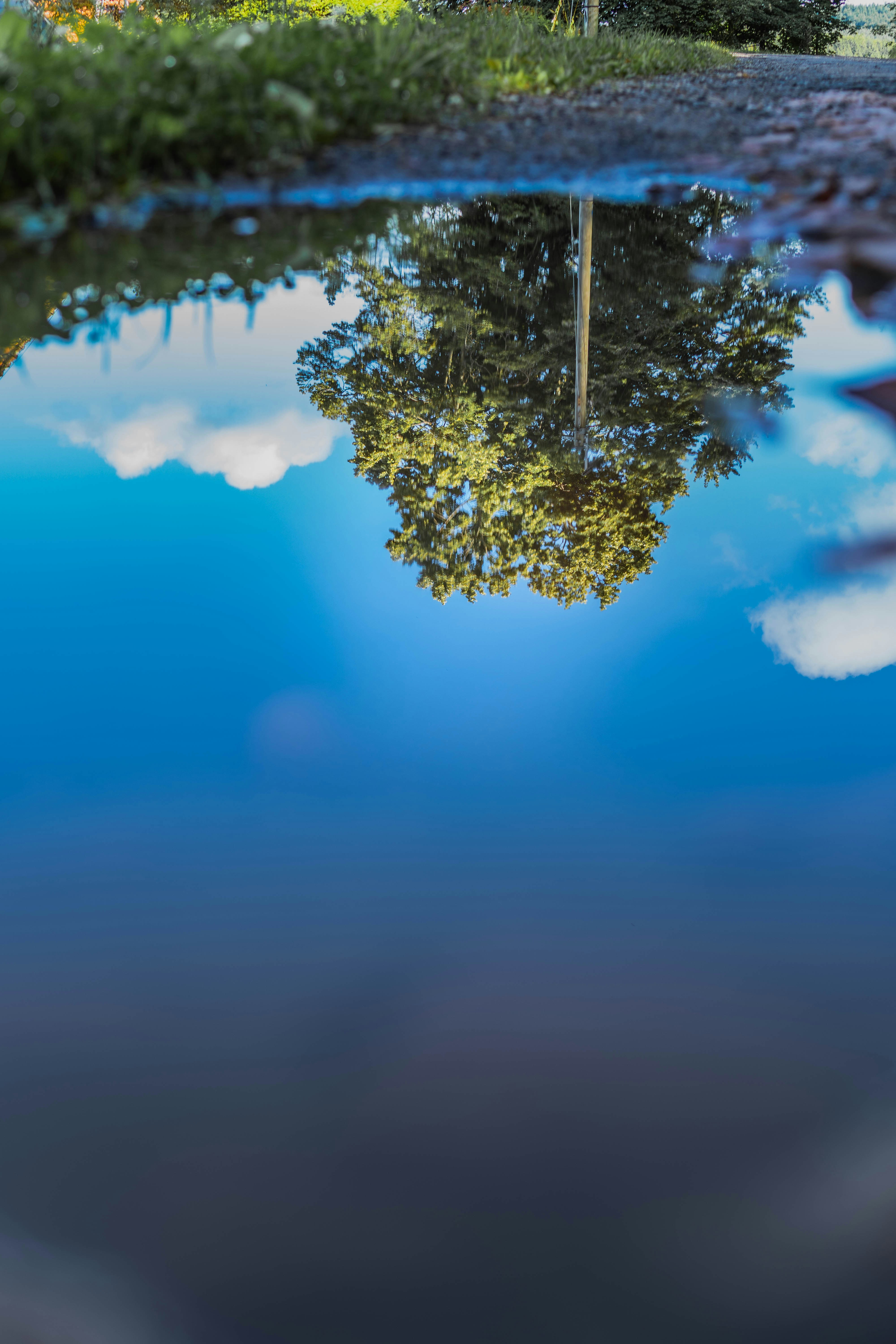 Photo by photographybymat_26