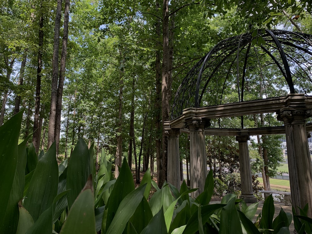 brown wooden bridge over green trees