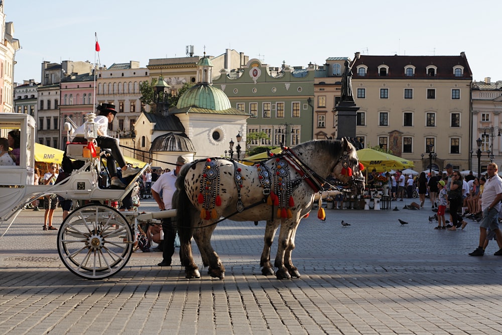people riding on horse carriage on road during daytime