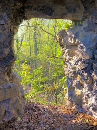 A natural stone opening frames a view of a lush, green forest. Sunlight filters through the leaves, casting light and shadows on the rocks, highlighting their textures and colors. Fallen leaves and twigs cover the ground, adding to the rustic charm.