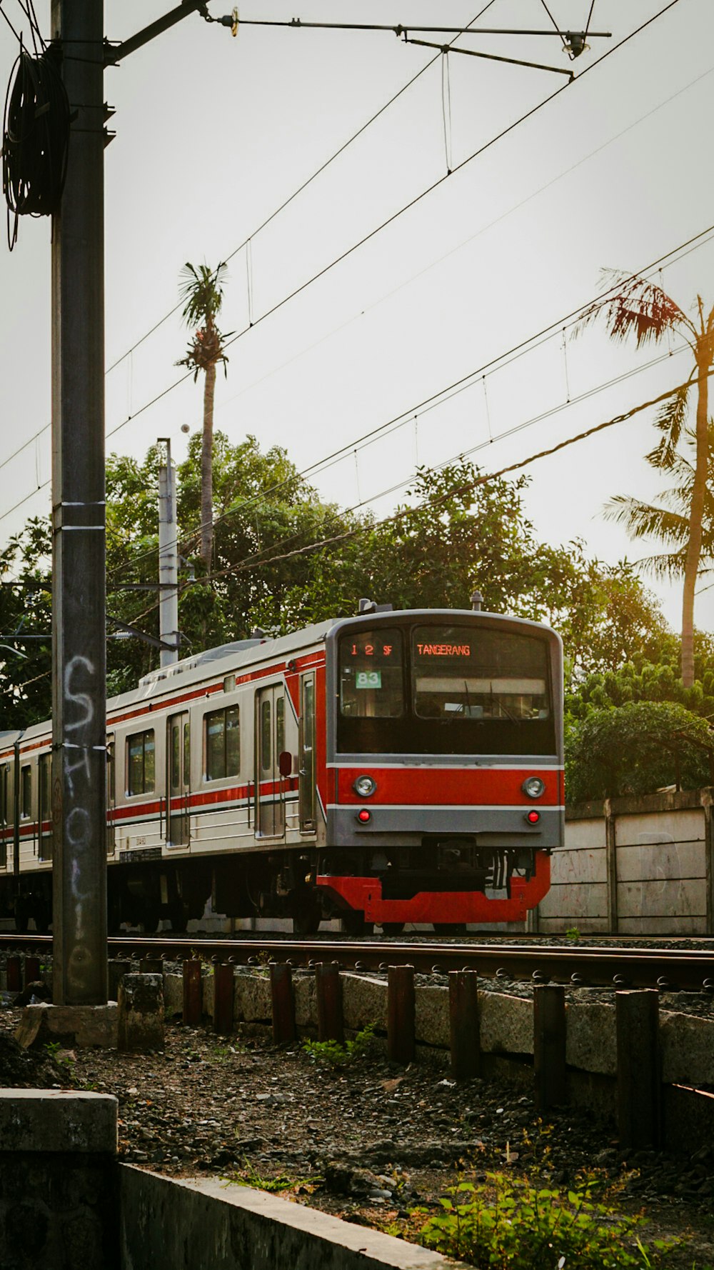 red and black train on rail tracks