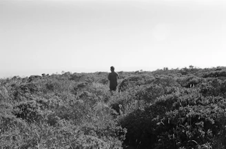 A black-and-white photo of a lone figure walking through a sunlit desert landscape.