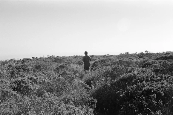 A black-and-white photo of a lone figure walking through a sunlit desert landscape.