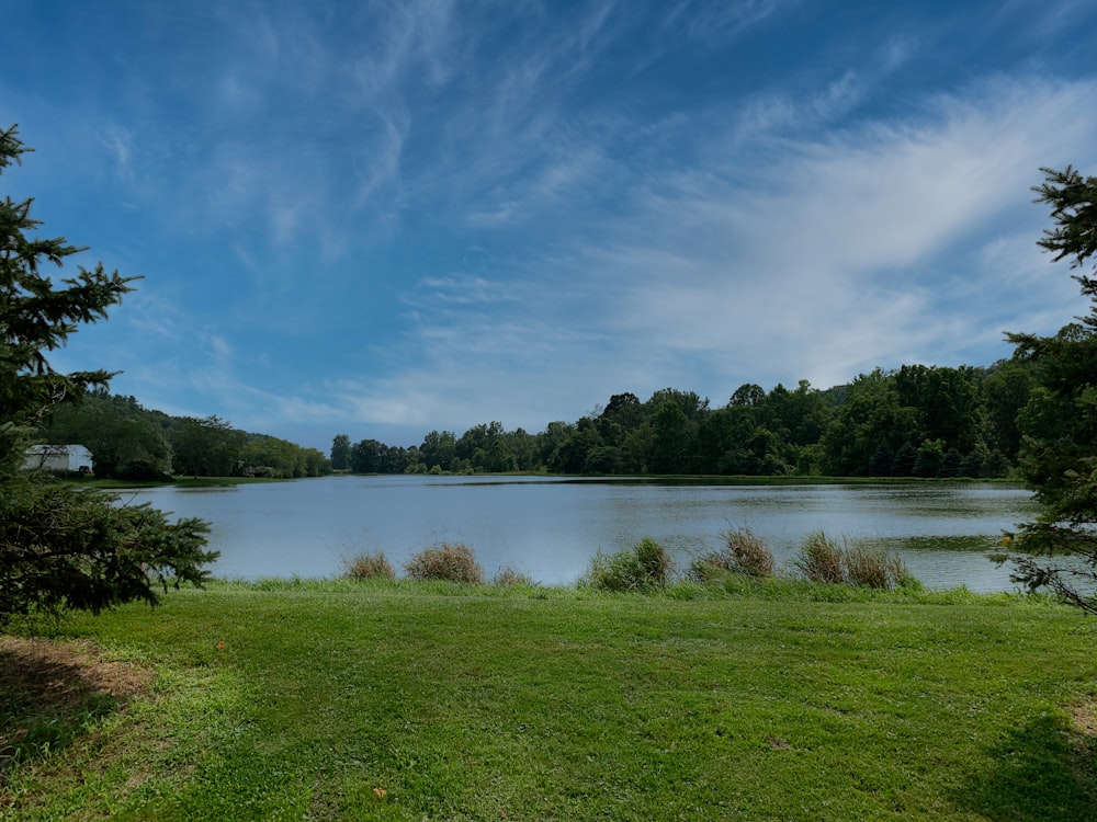 campo de grama verde perto do lago sob o céu azul durante o dia