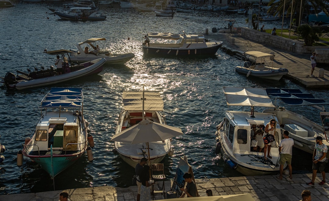 white and brown boats on dock during daytime