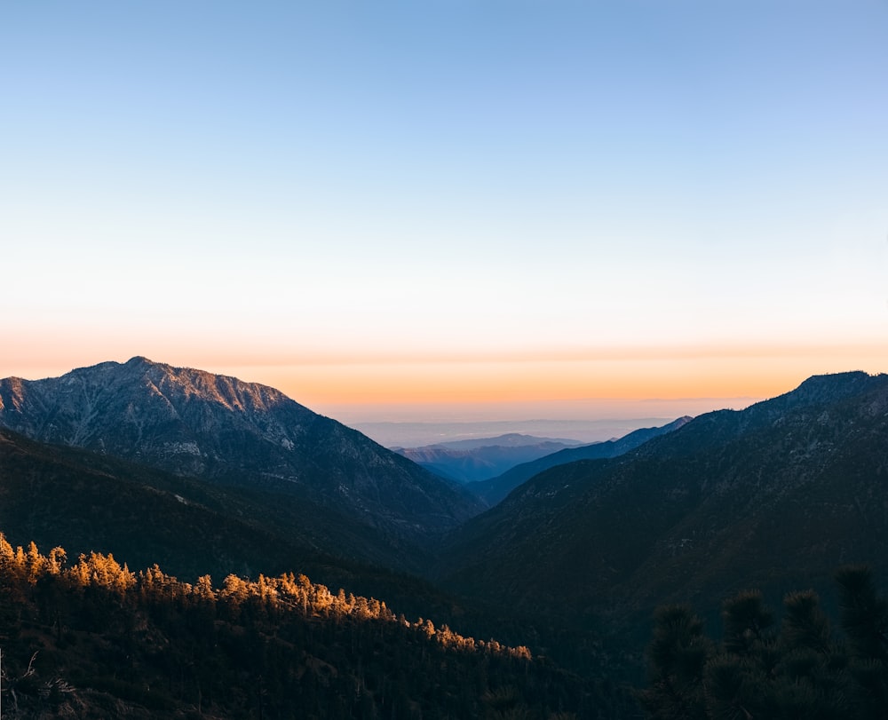 árvores verdes na montanha sob o céu azul durante o dia