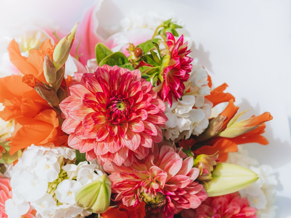 red and white flower bouquet