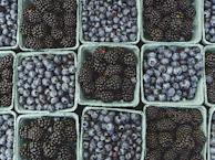 Frozen berries packed neatly in transparent containers, ready for shipping.