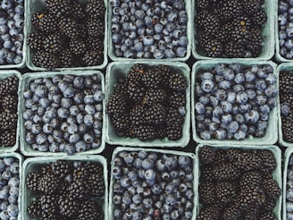 Numerous cartons filled with fresh berries, including blueberries and blackberries, are neatly arranged in a grid pattern. The berries are dark and ripe, contrasting with the light green cartons that hold them.