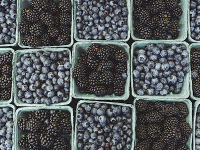 Workers sorting fresh berries in a bright, clean packing facility.