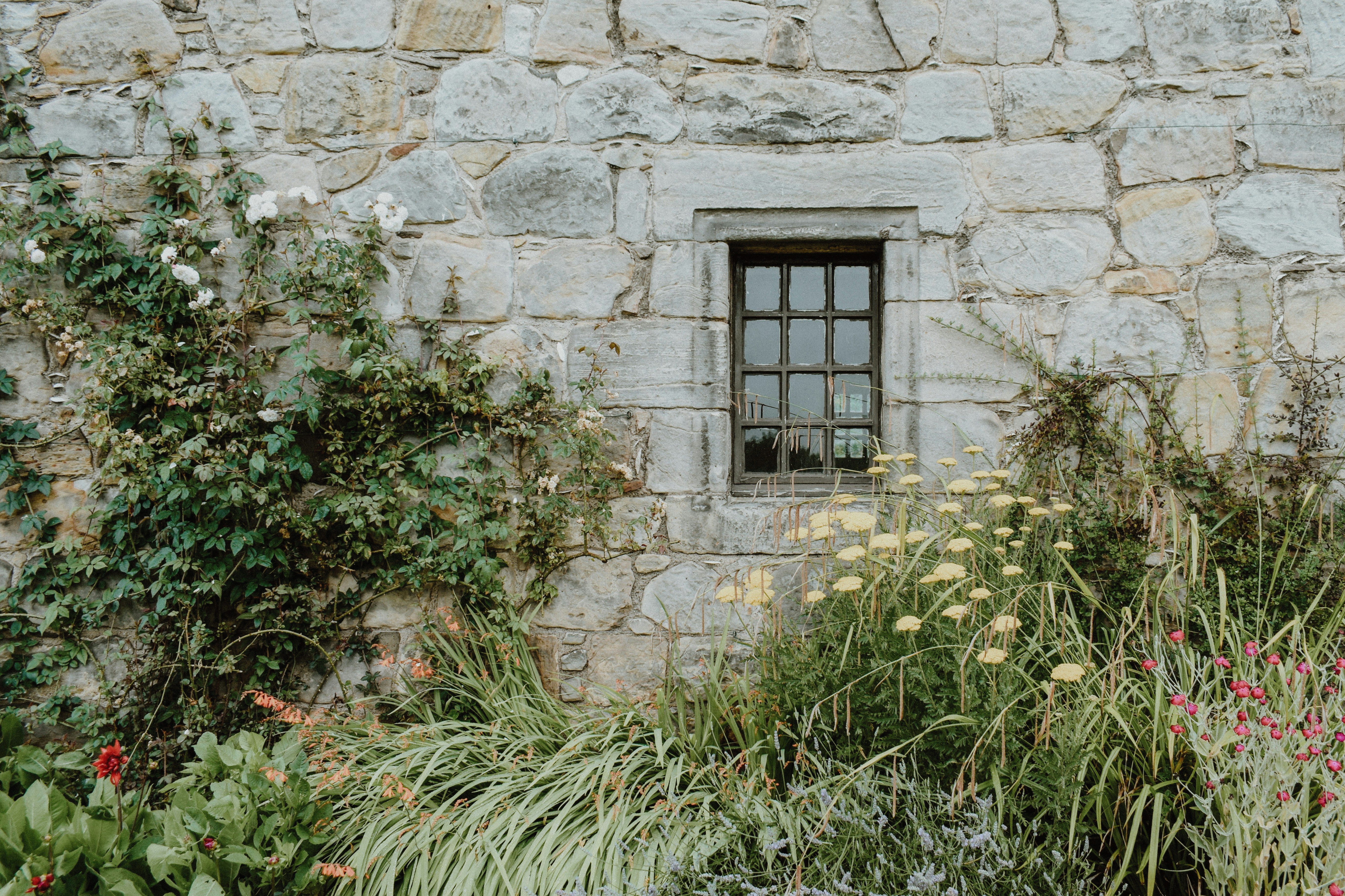 Photo by eleanorbrooke