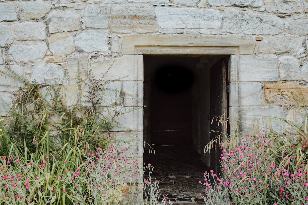 purple flowers in front of brown wooden door