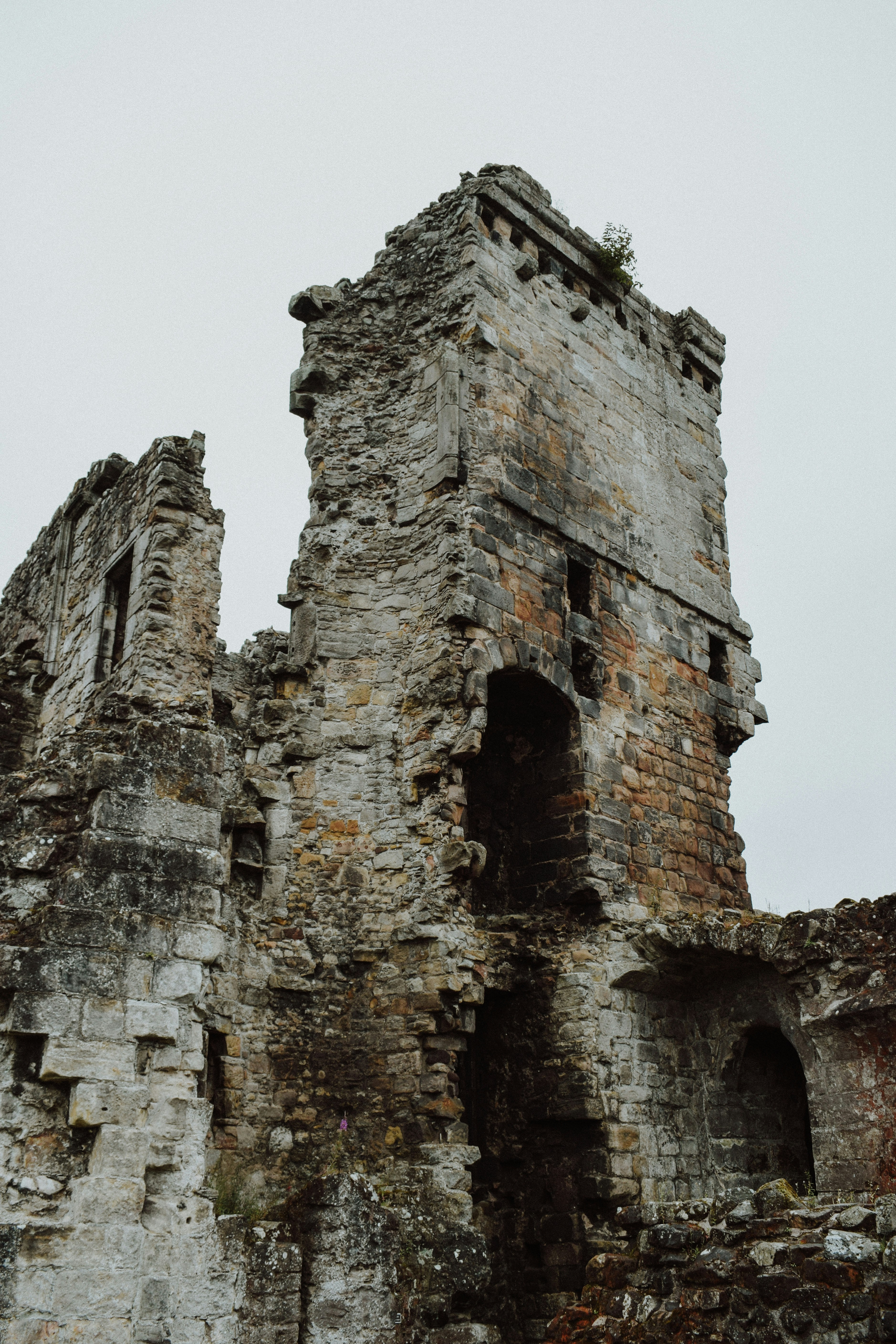 Photo by eleanorbrooke