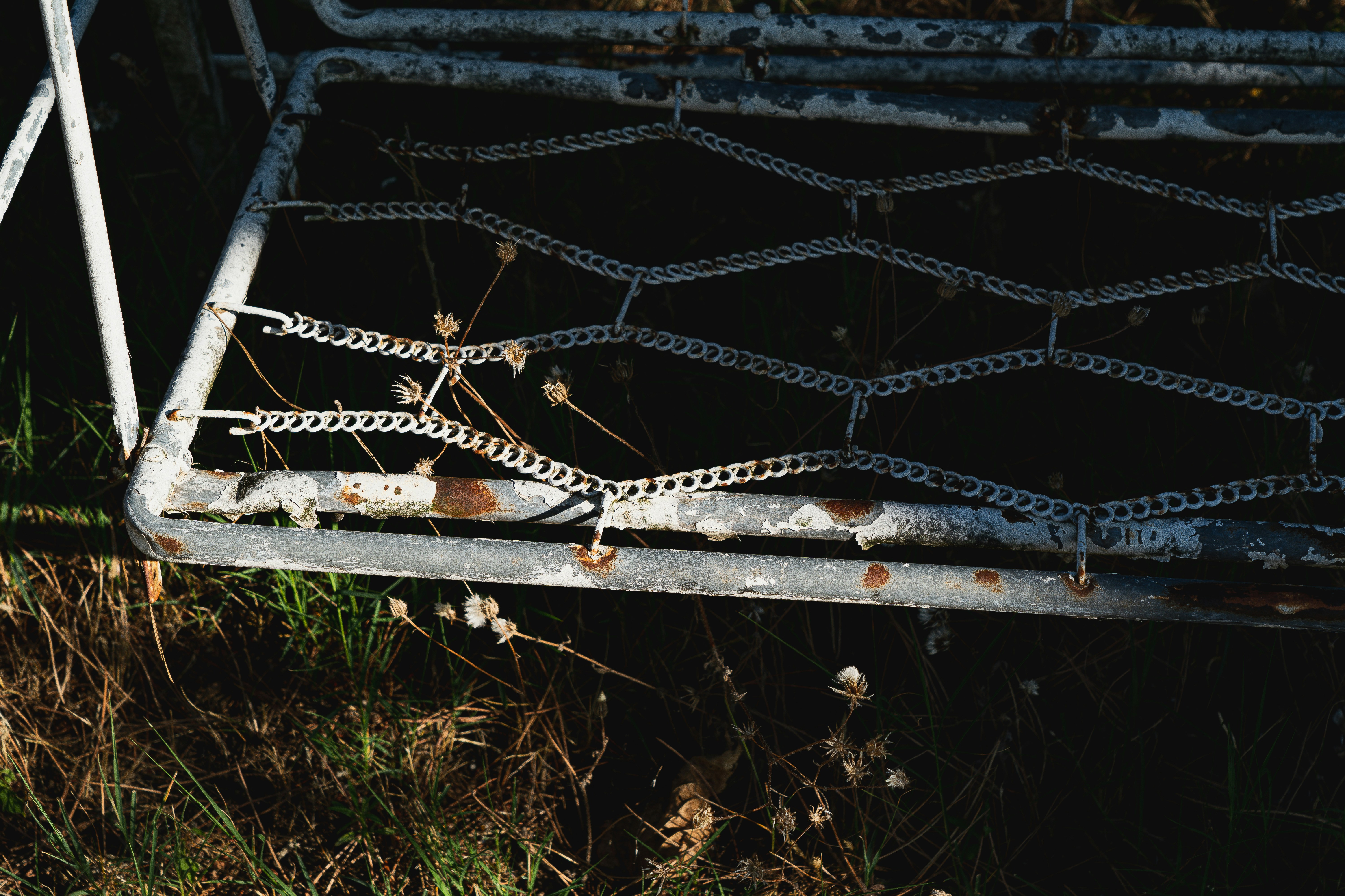 Tela de araña blanca y negra sobre hierba verde foto – Imagen de Fotografía  gratuita en Unsplash, image size:3000x2000