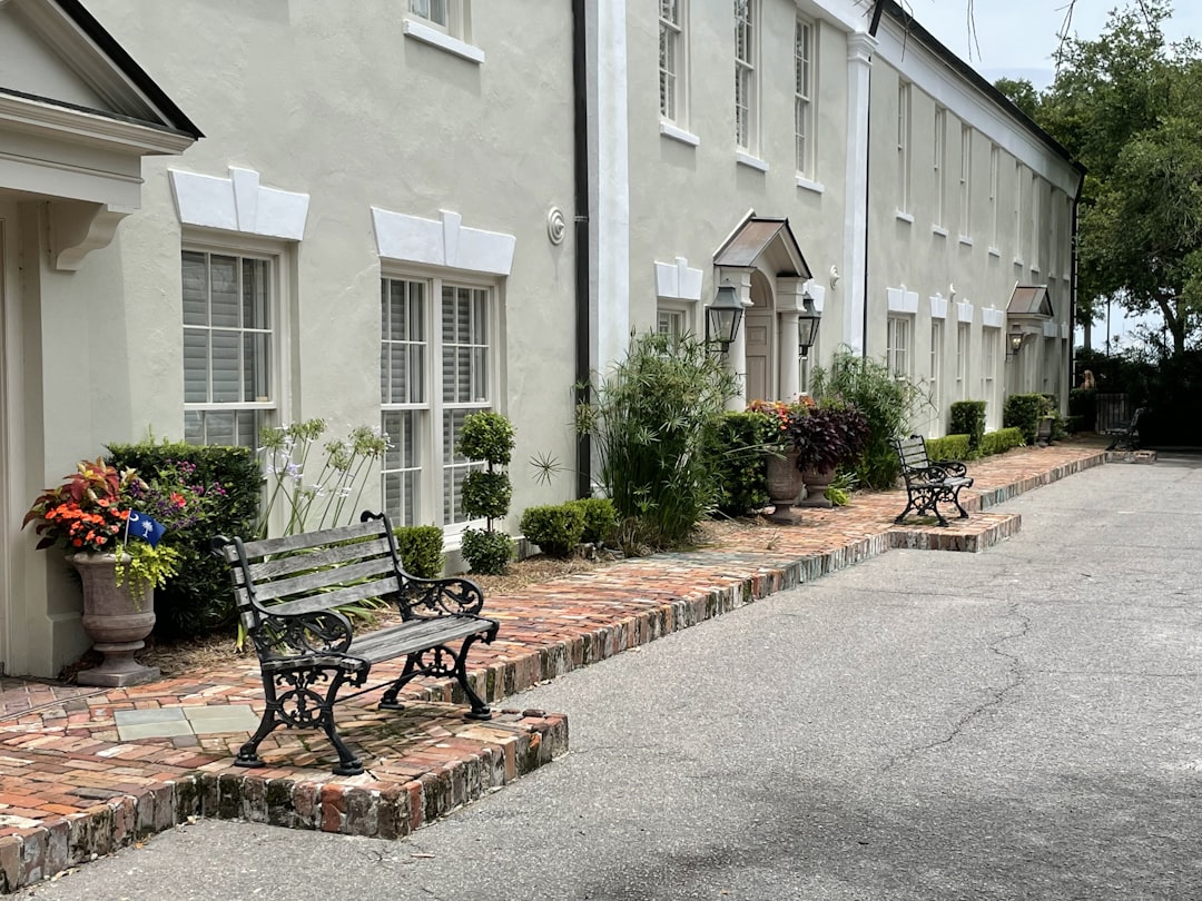 7 Hidden Gems Unique Airbnb Experiences in Charleston's Historic Di… — 7 Hidden Gems Unique Airbn…, photo 2