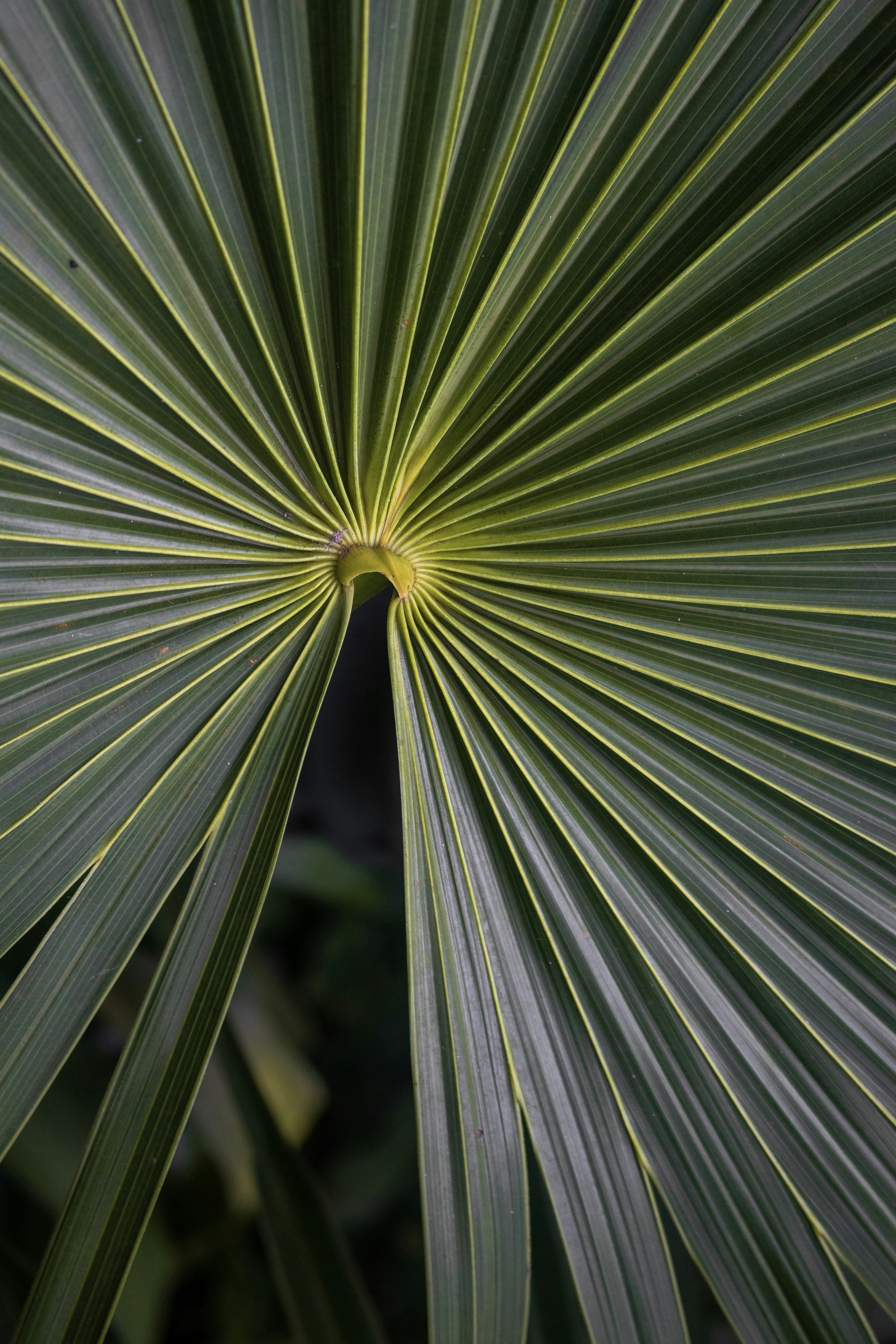 Photo by sarawesenberg