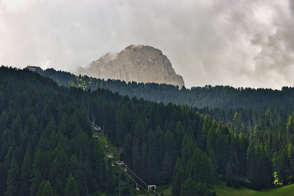 árboles verdes en la montaña bajo nubes blancas durante el día