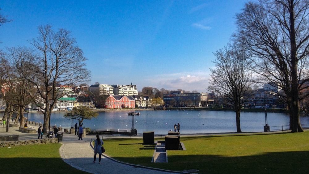 les gens qui marchent dans un parc près du plan d’eau pendant la journée