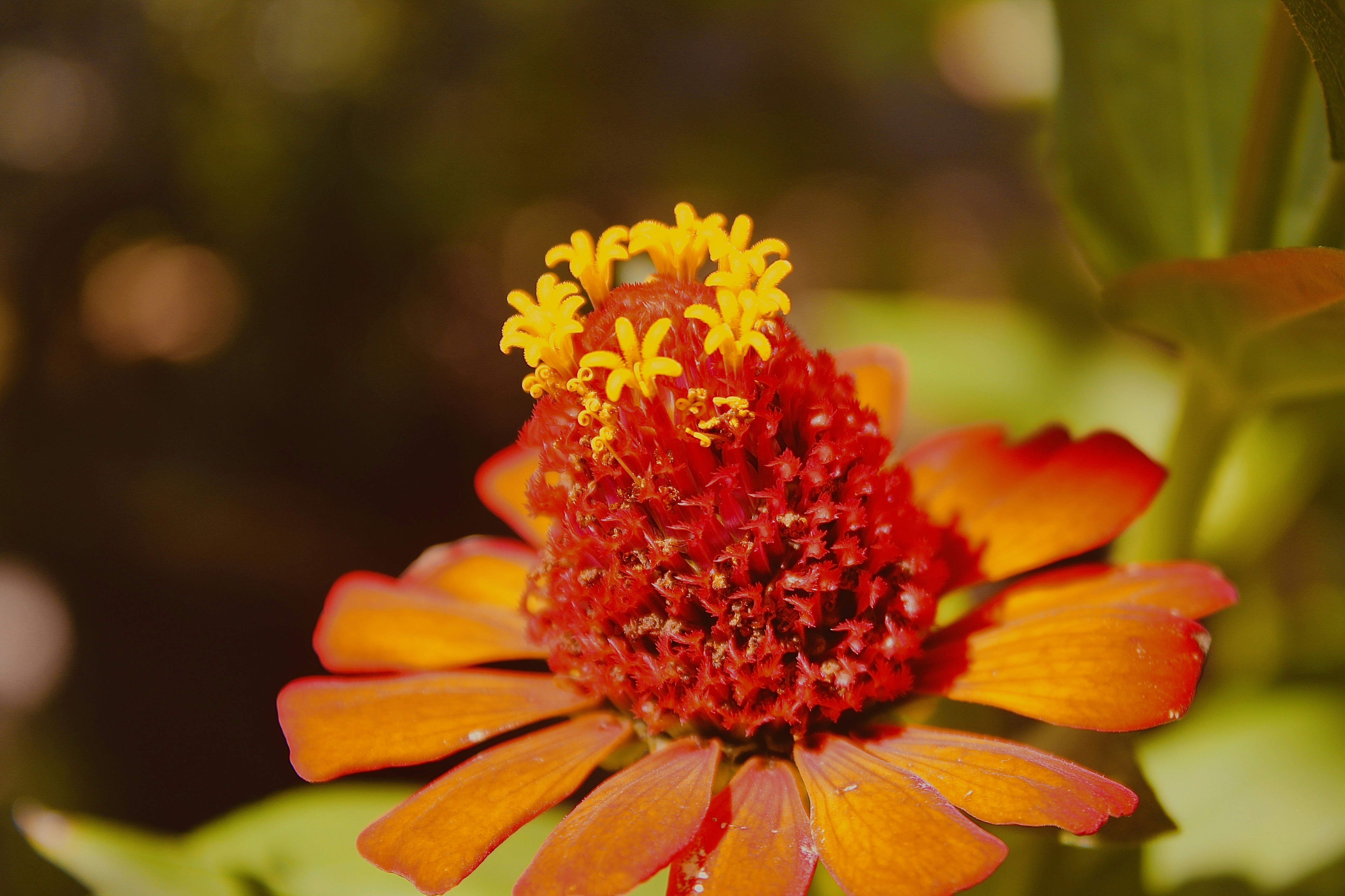 Photo by jaimealegre_