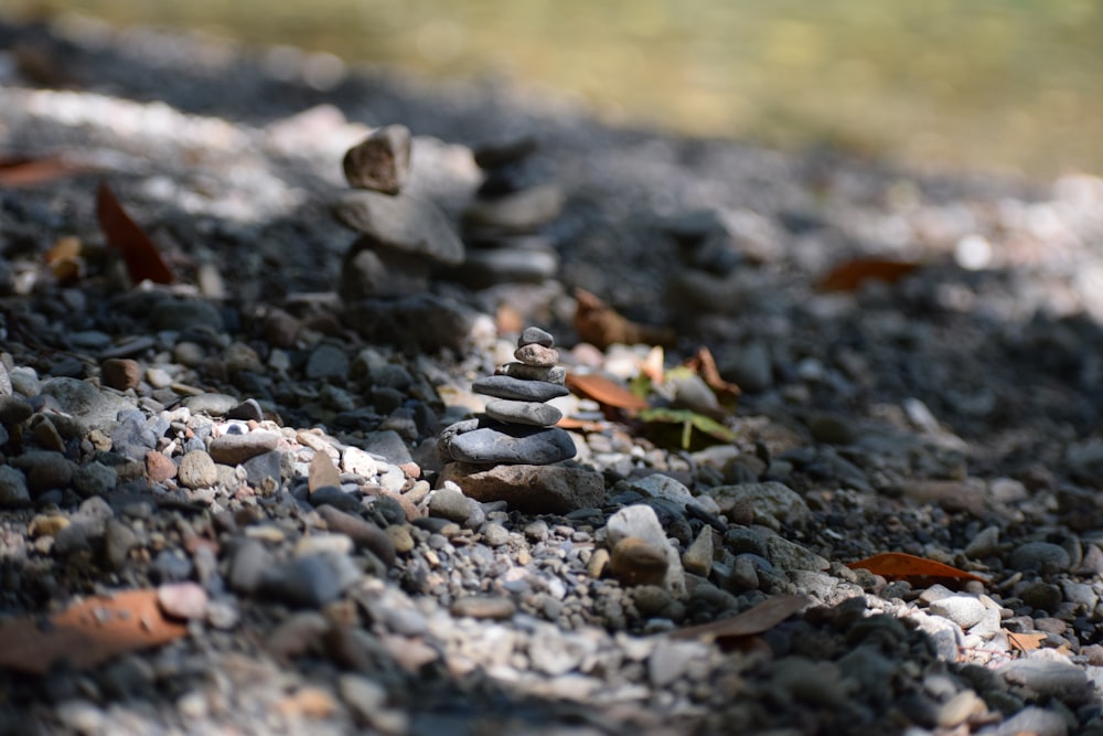 gray stones on brown soil