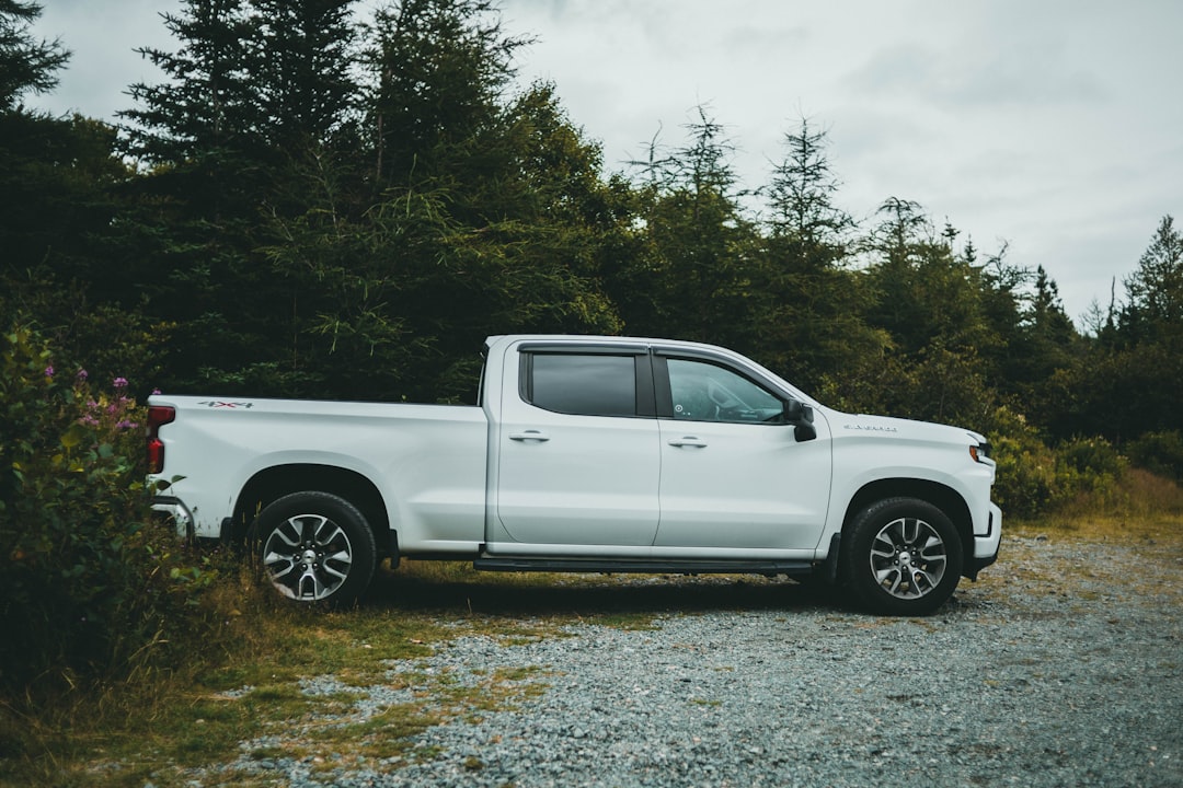 white crew cab pickup truck on road