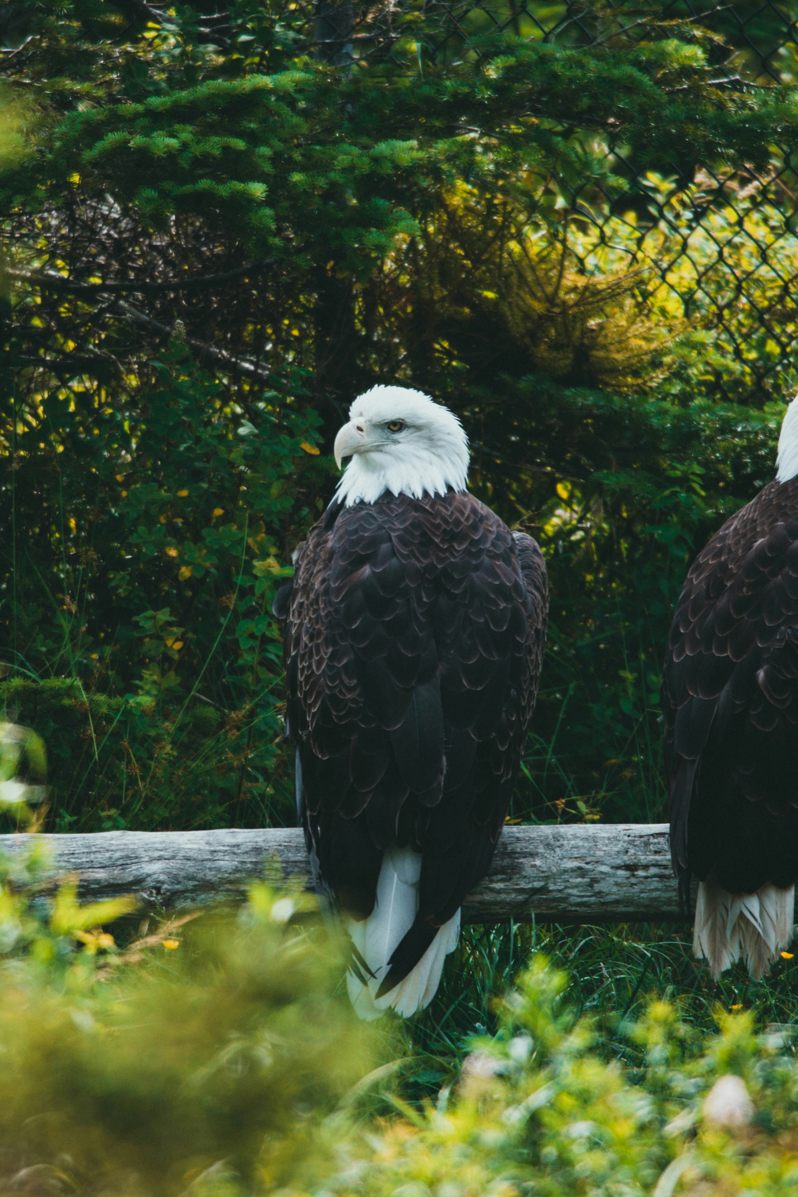 Photo by theshuttervision