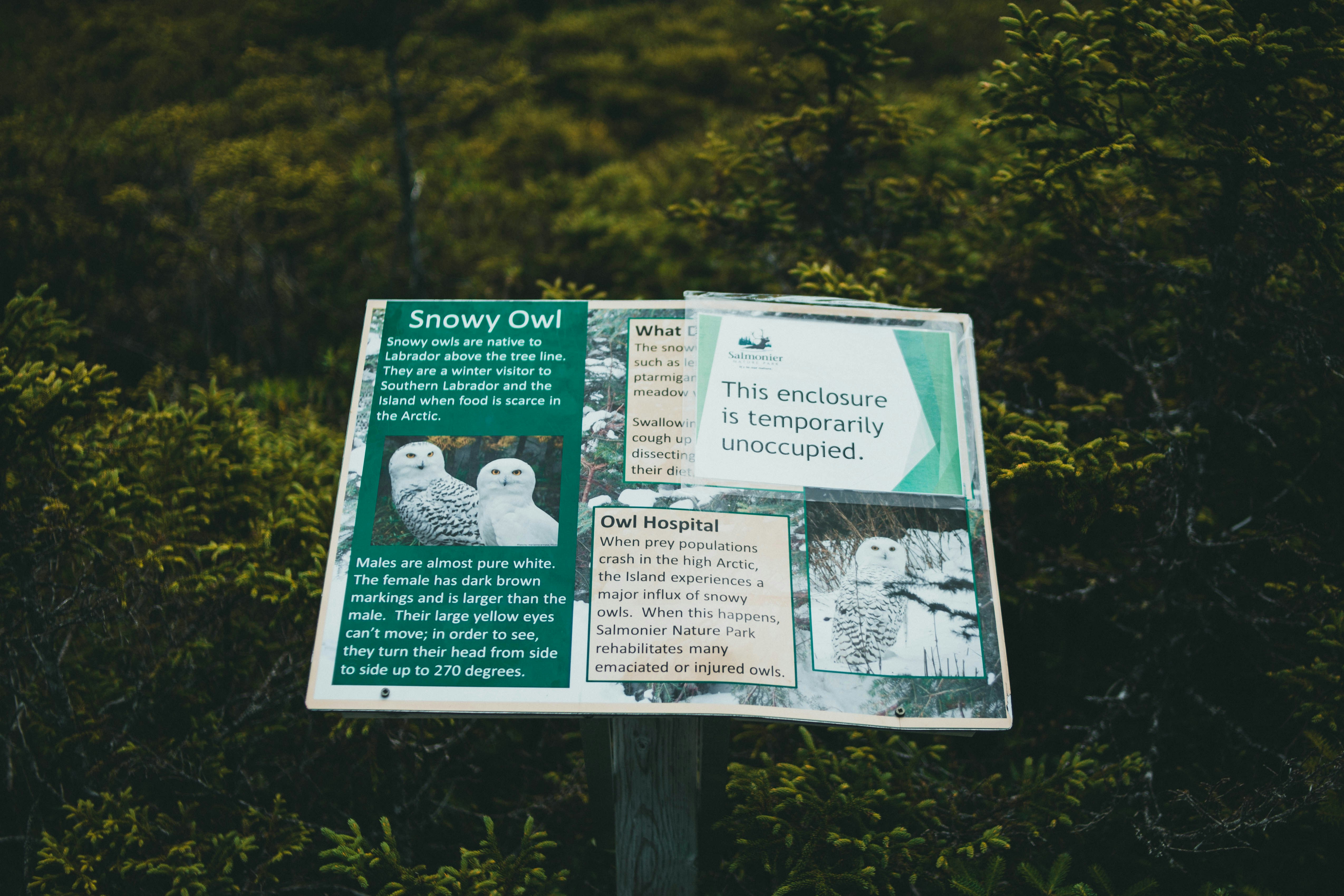 Photo by theshuttervision