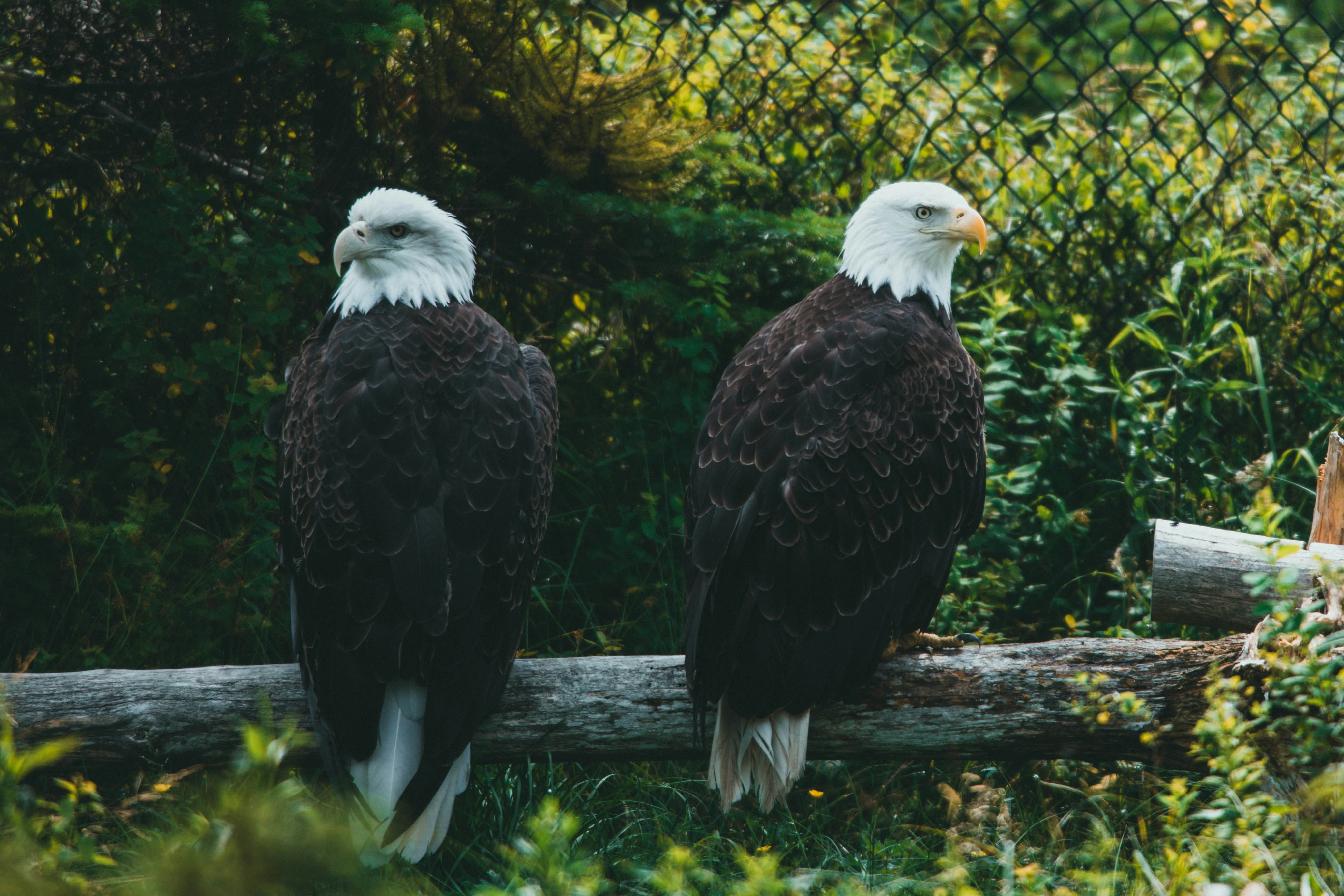 Photo by theshuttervision