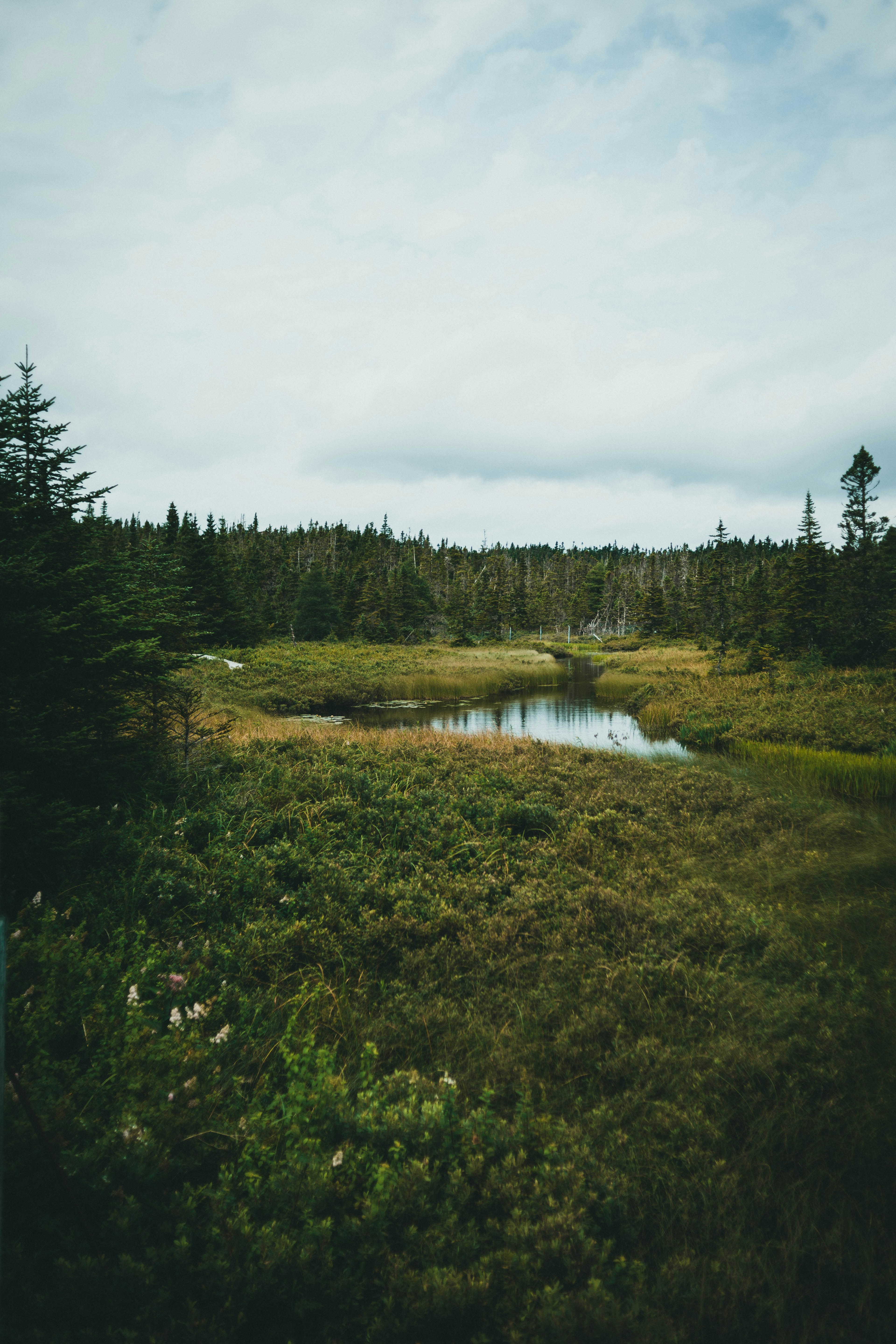 Photo by theshuttervision