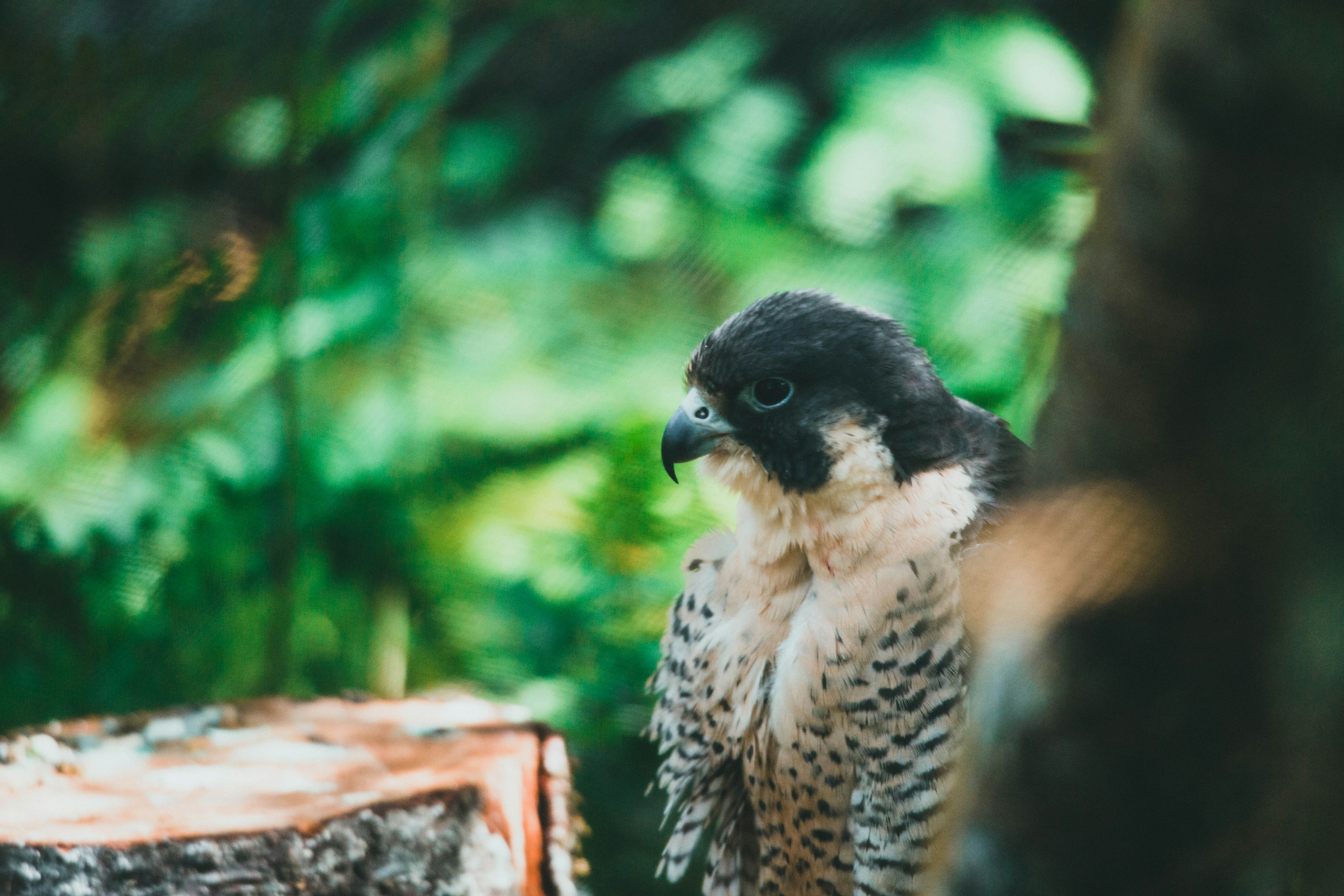 Photo by theshuttervision