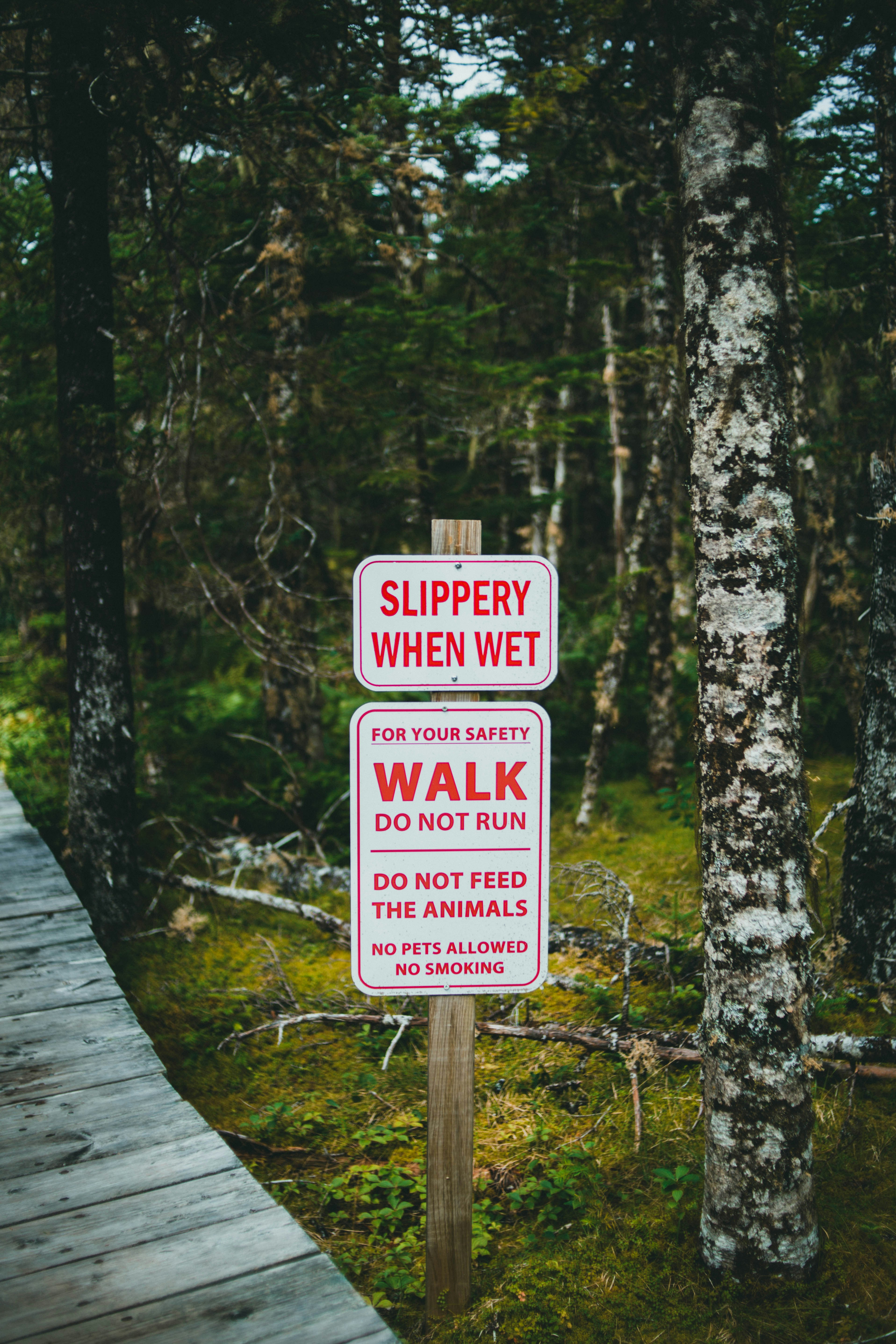 Photo by theshuttervision