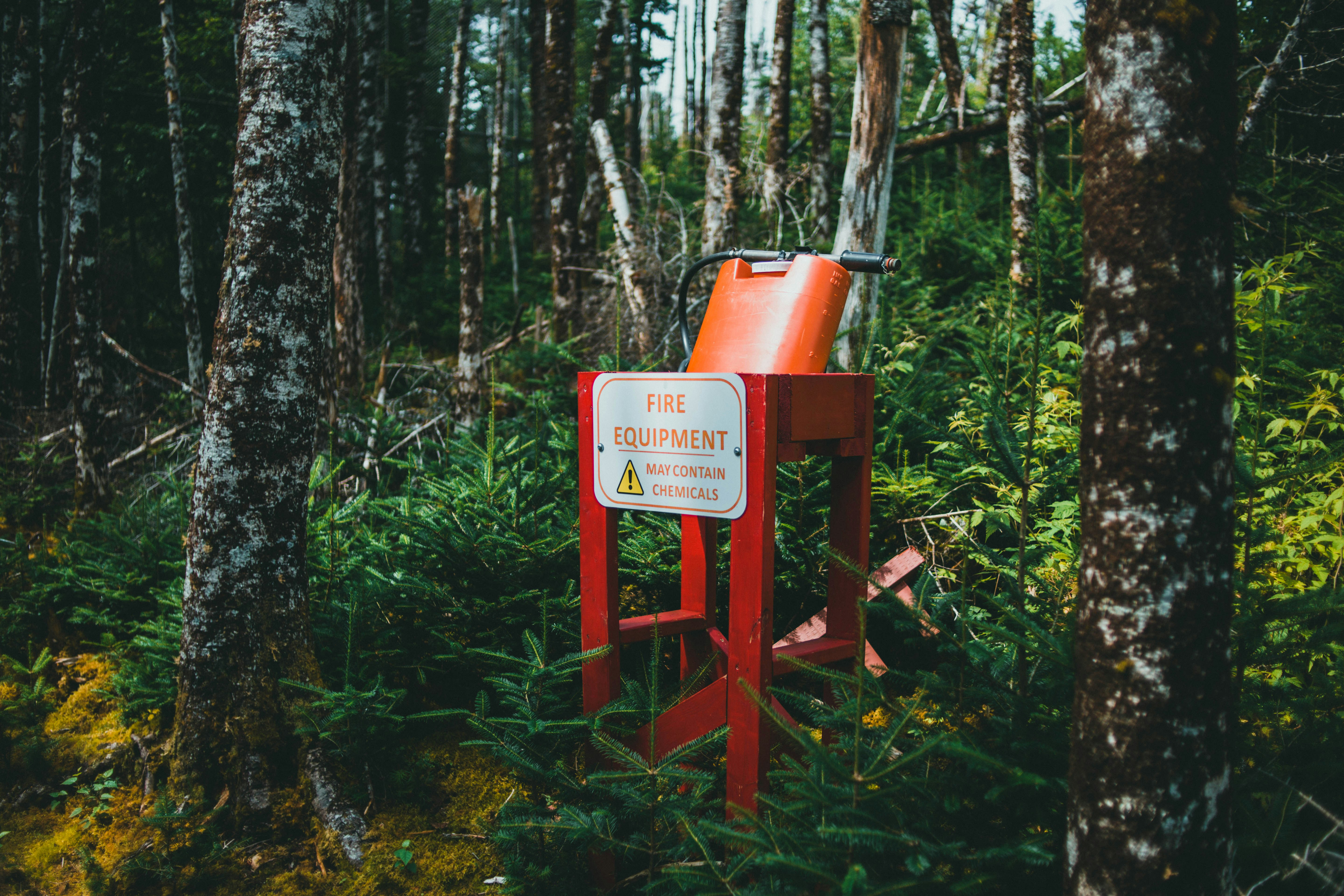 Photo by theshuttervision