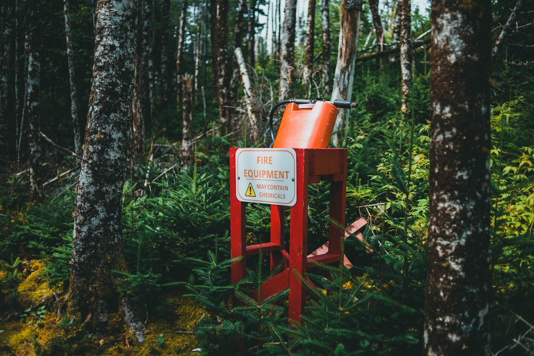 red wooden stand near green trees during daytime