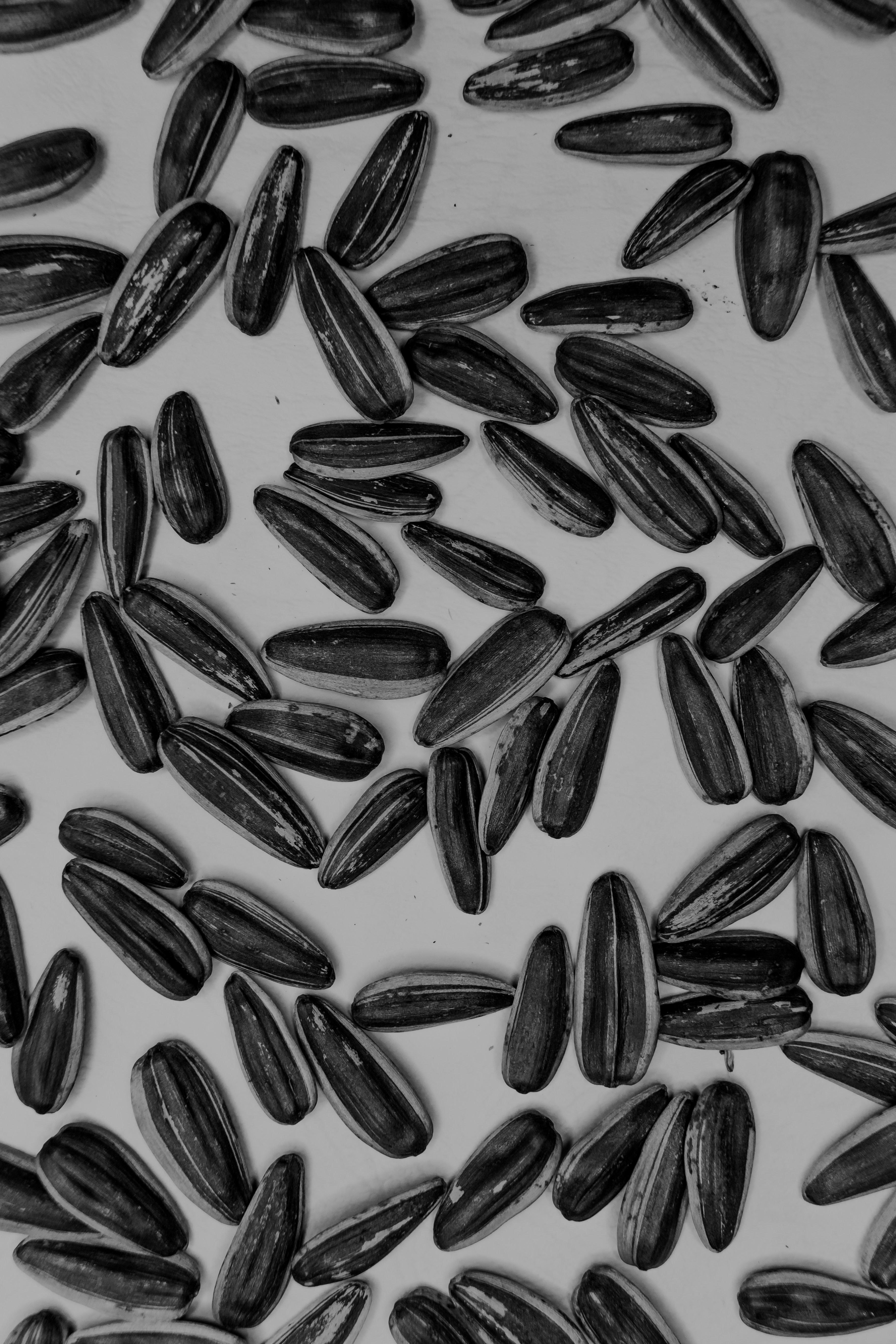 Photo by dylanhendricks