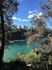 A serene view of the Caribbean coastline near Choiseul, St Lucia, highlighting lush greenery and blue waters.