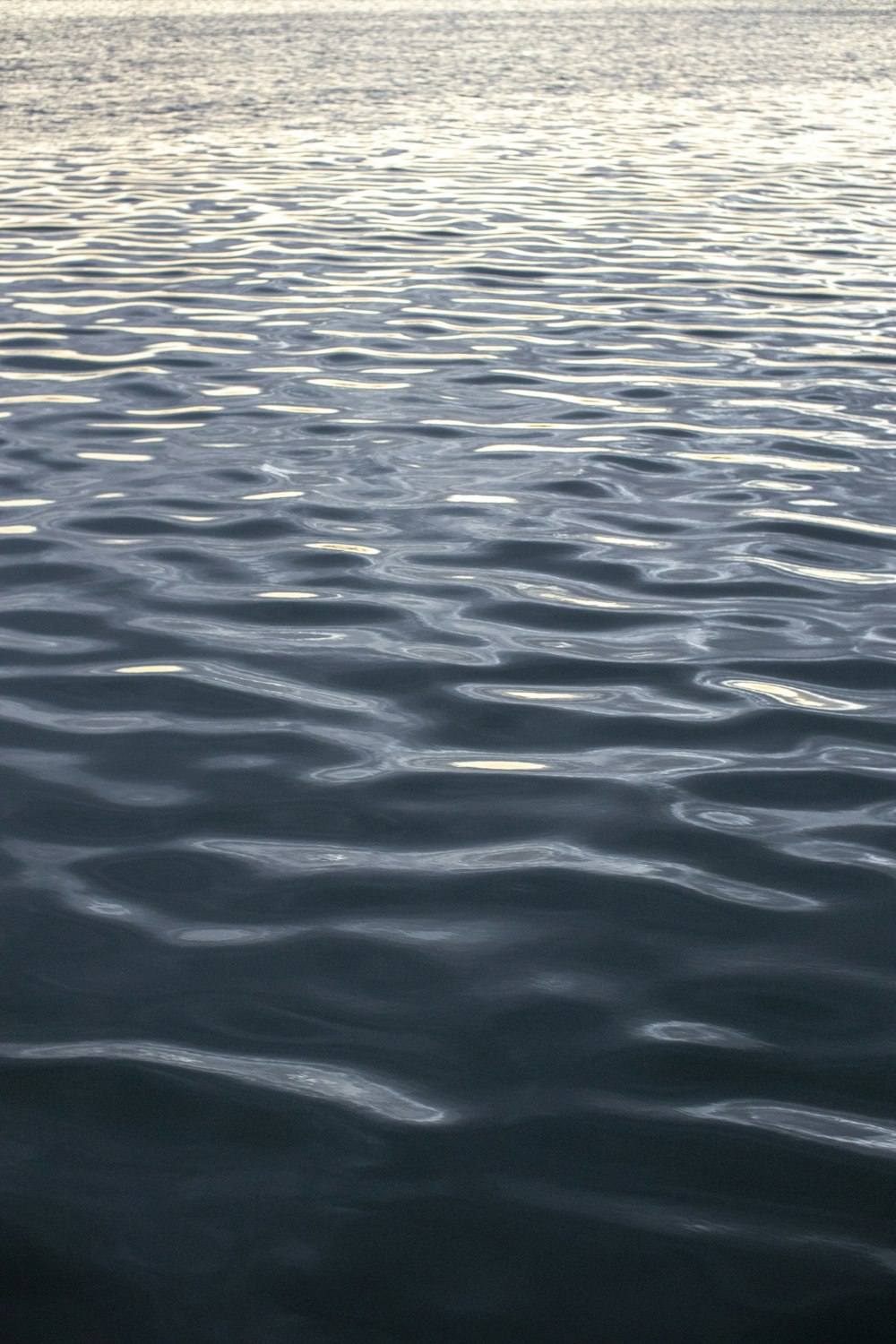 plan d’eau pendant la journée