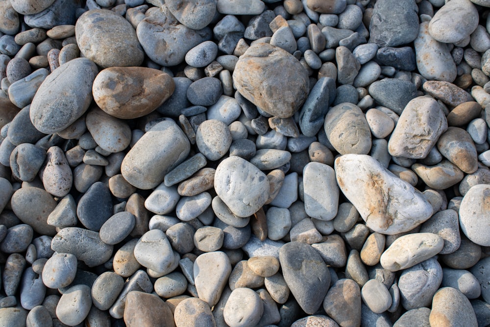 gray and white stone fragments