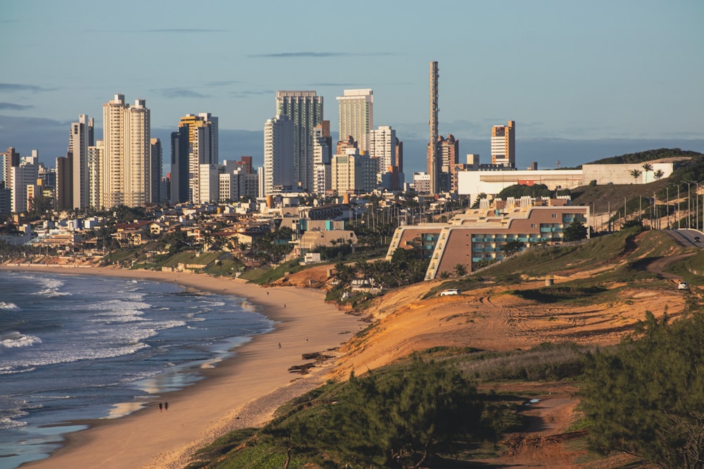 aerial view of city buildings near body of water during daytime