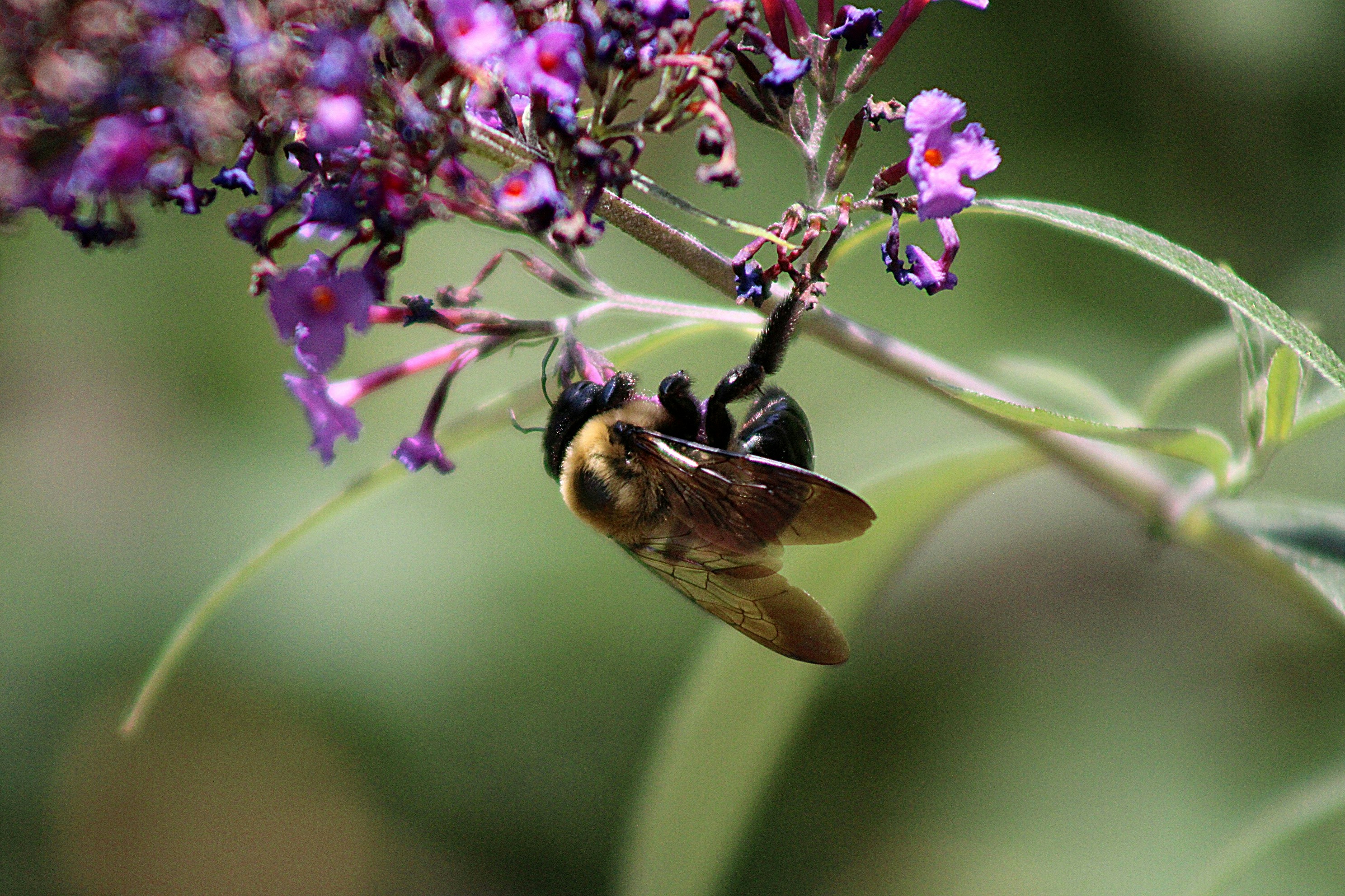 Photo by charles_ray