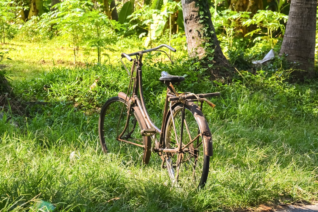 brown city bike on green grass field