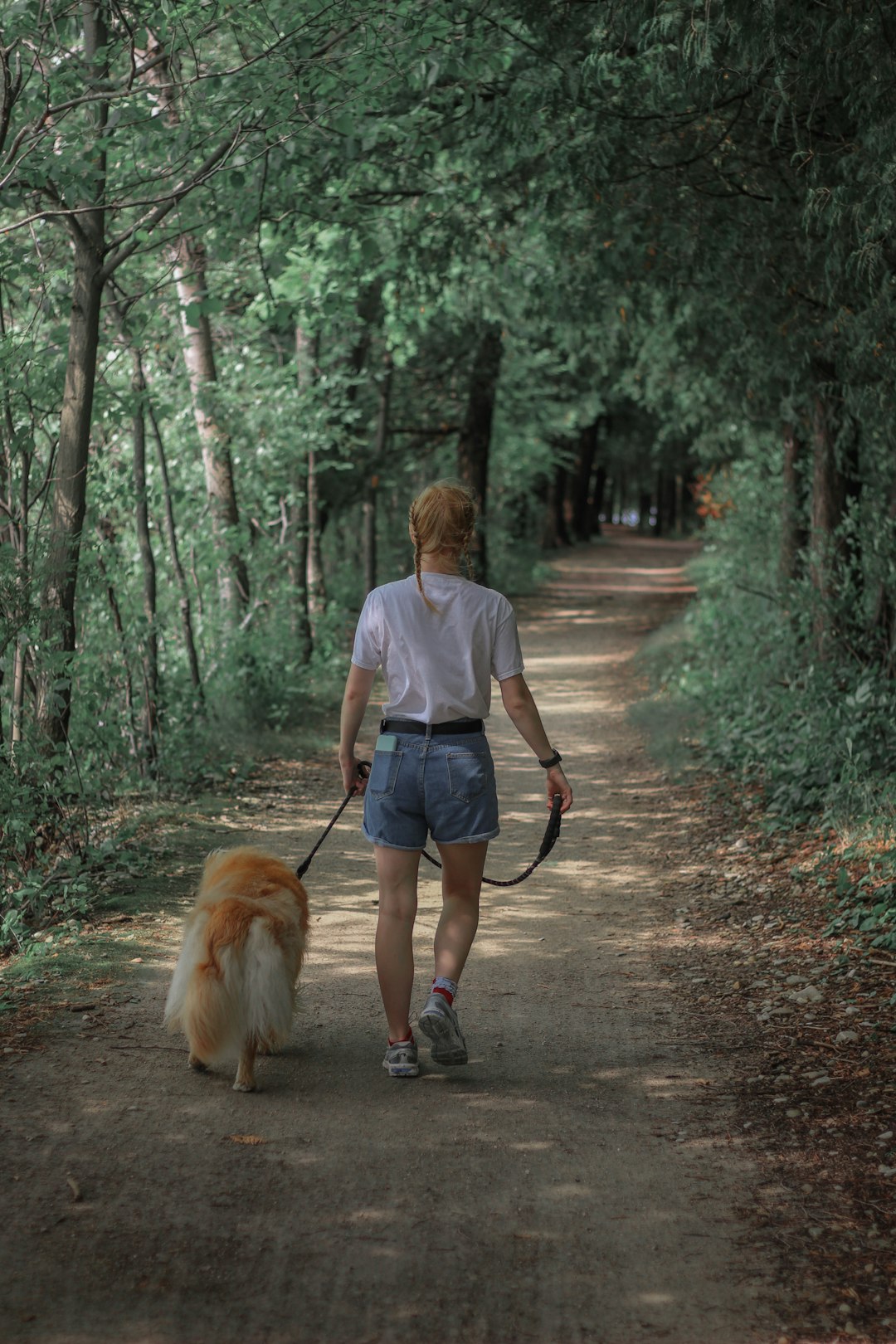 woman in gray shirt walking with brown dog on forest during daytime