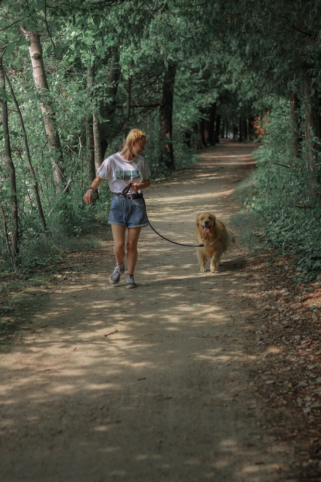 girl in blue t-shirt and blue denim shorts walking with brown dog on pathway during